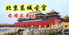 男女抽插鸡巴的视频中国北京-东城古宫旅游风景区